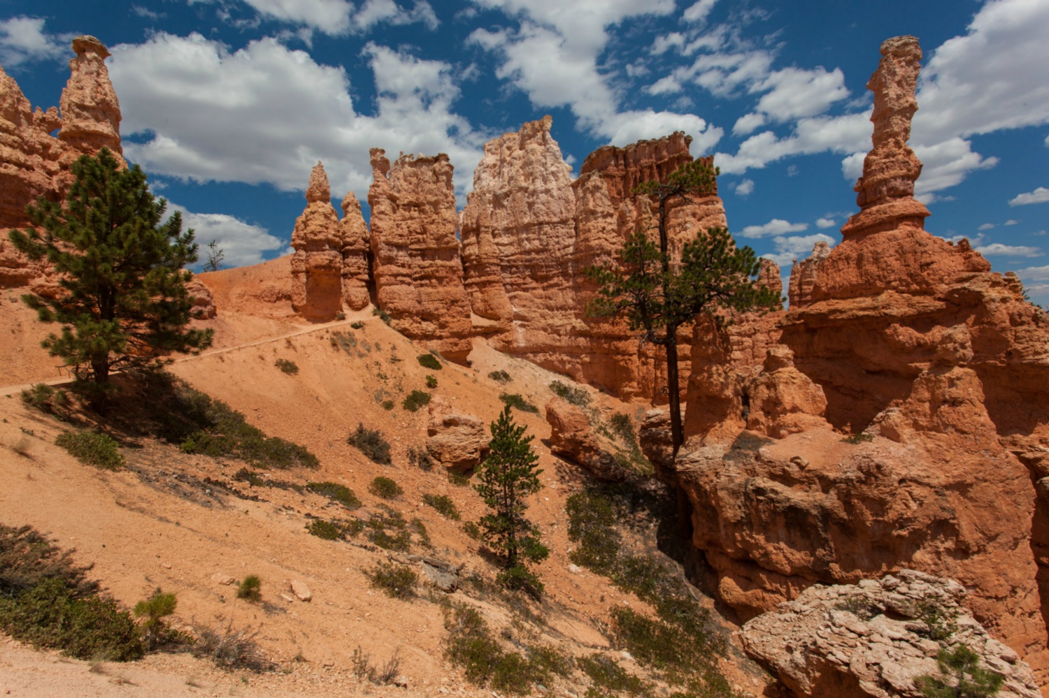 USA_Bryce Canyon_168